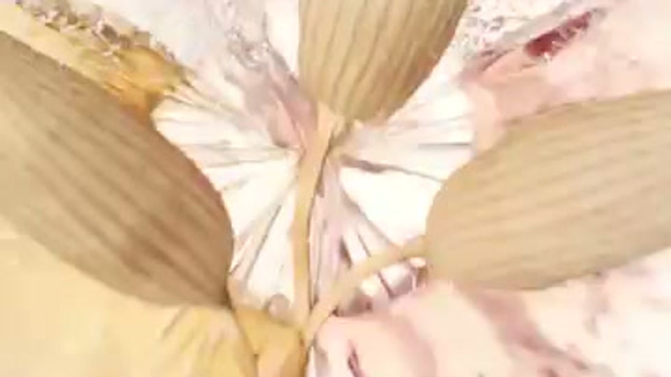 Aveeno